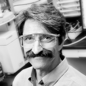 Dr. Pellegrino